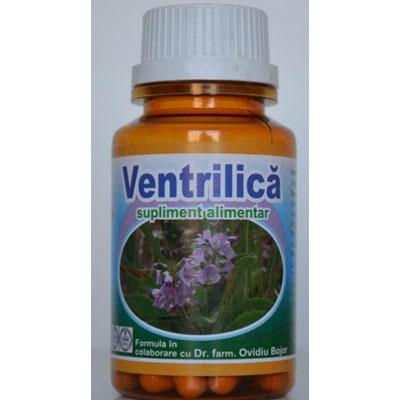 Hypericum Ventrilica 60 capsule