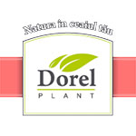 Dorel Plant