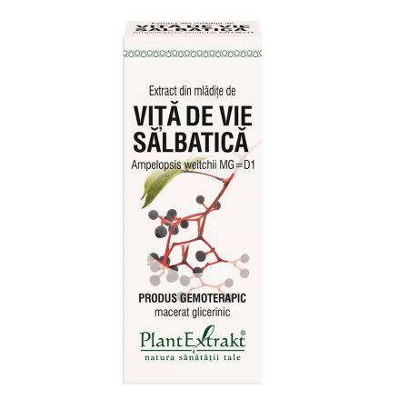 PlantExtract Extract din mladite de vita de vie salbatica 50 ml